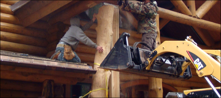 Log Home Log Replacement  Mecklenburg County, Virginia