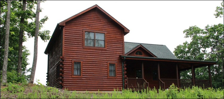 Professional Log Home Borate Application  Mecklenburg County, Virginia